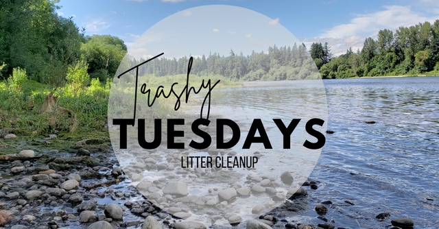 Trashy Tuesday litter clean up with stream in background